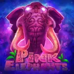 icon-爱发体育体育